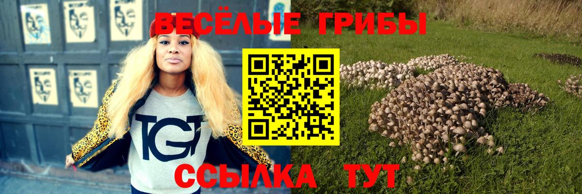 Галлюциногенные грибы мицелий Звенигород